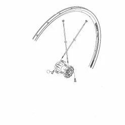 Ecrou Shimano WH-R550 Arrière (x1)